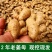 山东生姜老姜1斤姜5斤特价生姜批发黄姜老