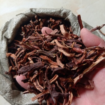 骨碎补，常年批发补碎骨中药材量大从优