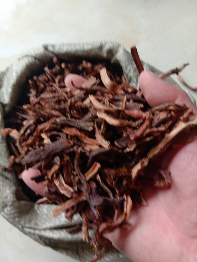 骨碎补，常年批发补碎骨中药材量大从优