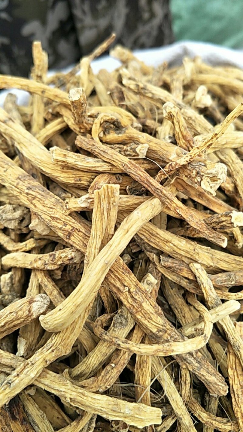 常年批发秦艽，中药材各个规格产地货