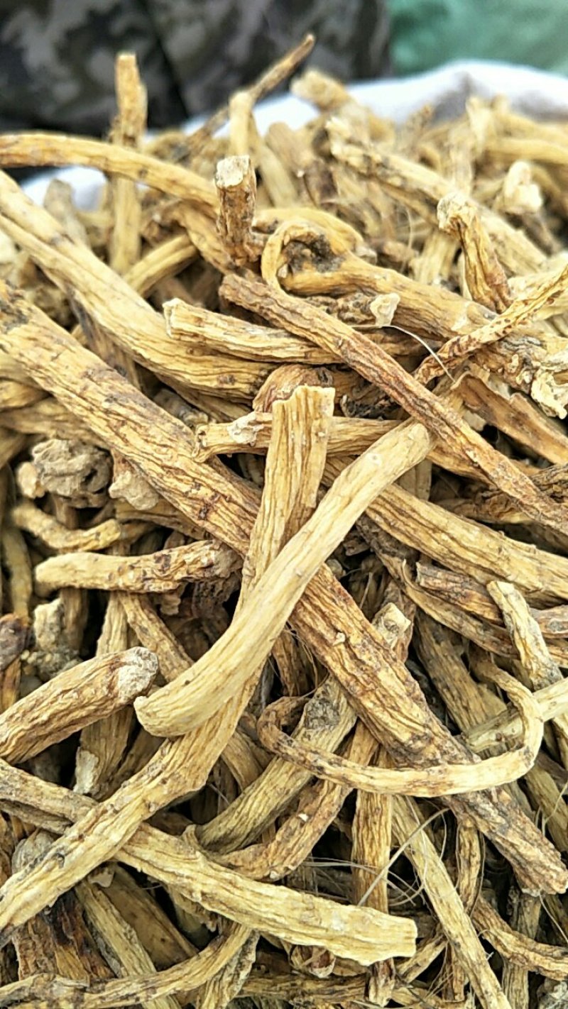 常年批发秦艽，中药材各个规格产地货