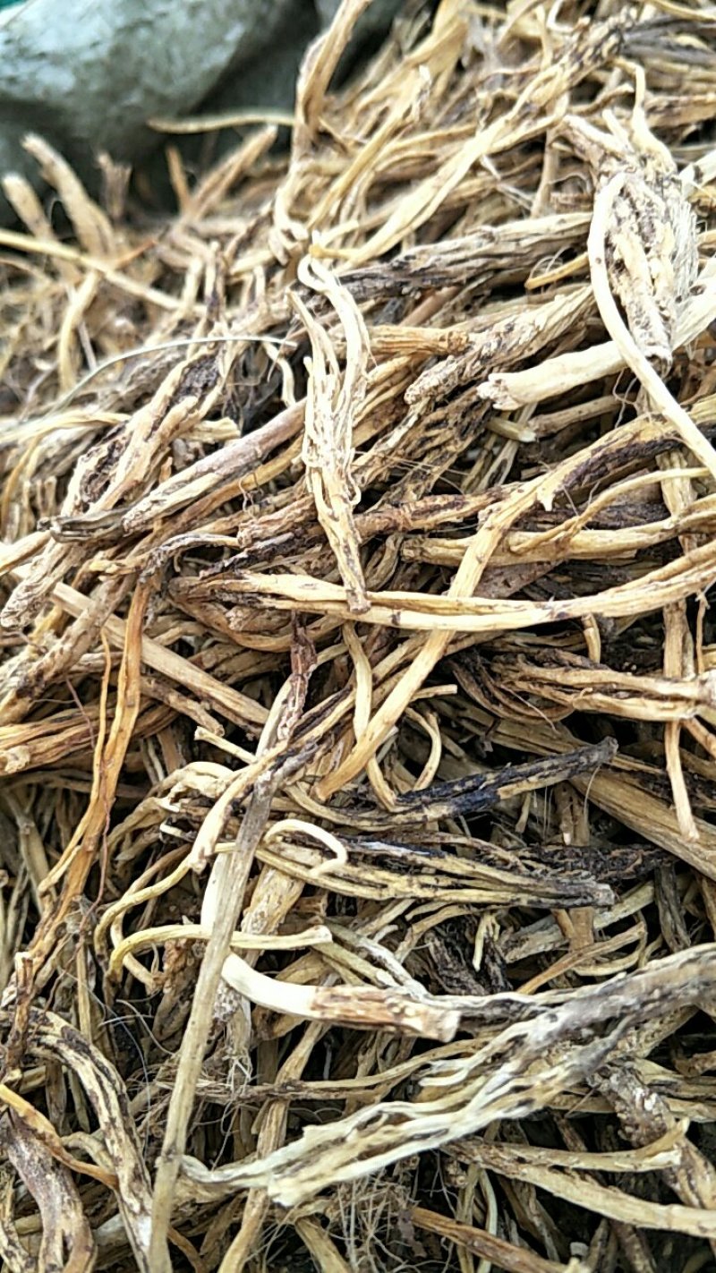 常年批发秦艽，中药材各个规格产地货
