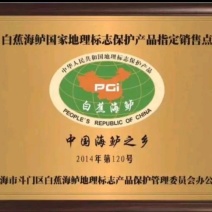 白蕉海鲈