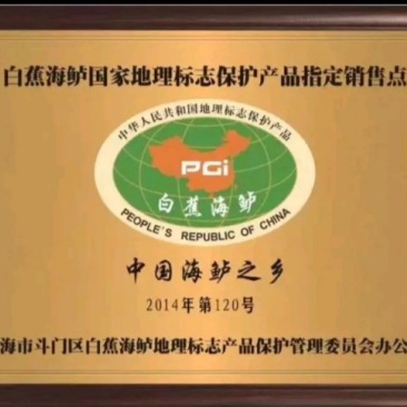 白蕉海鲈