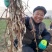 螺丝菜