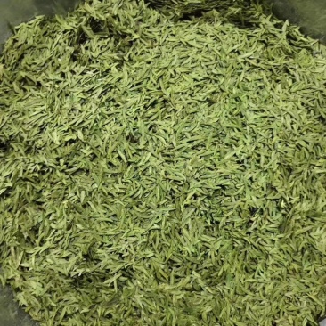 绿茶