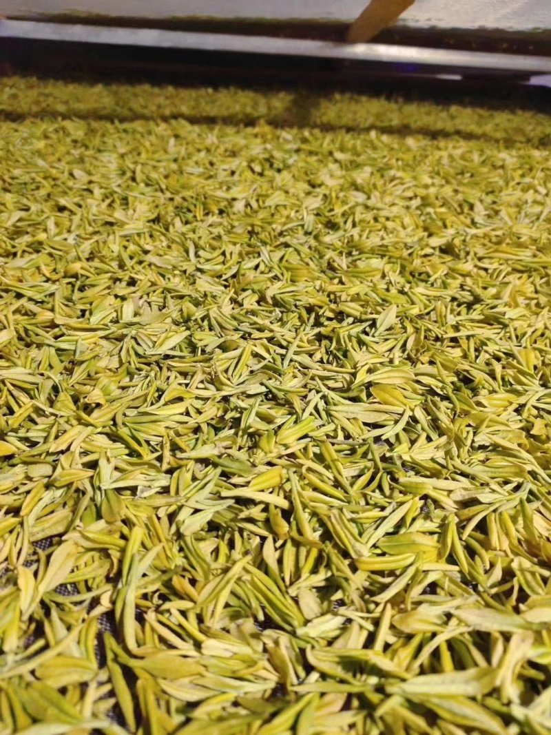 绿茶