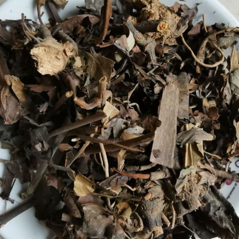 肿节风肿节风九节茶、九节风、接骨莲、草珊瑚