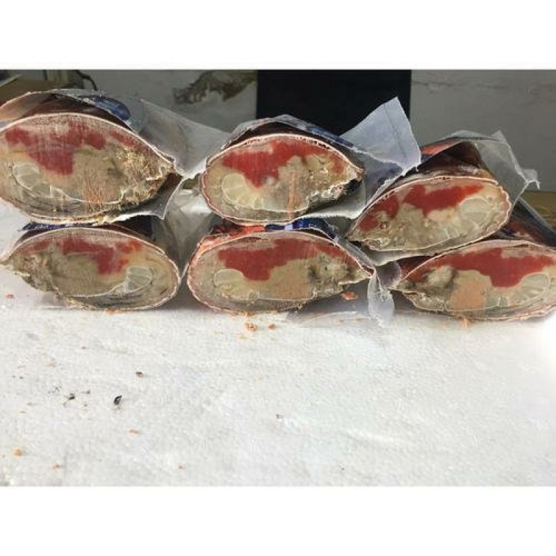 精品《面包蟹》速冻面包蟹大小规格面包蟹红膏蟹