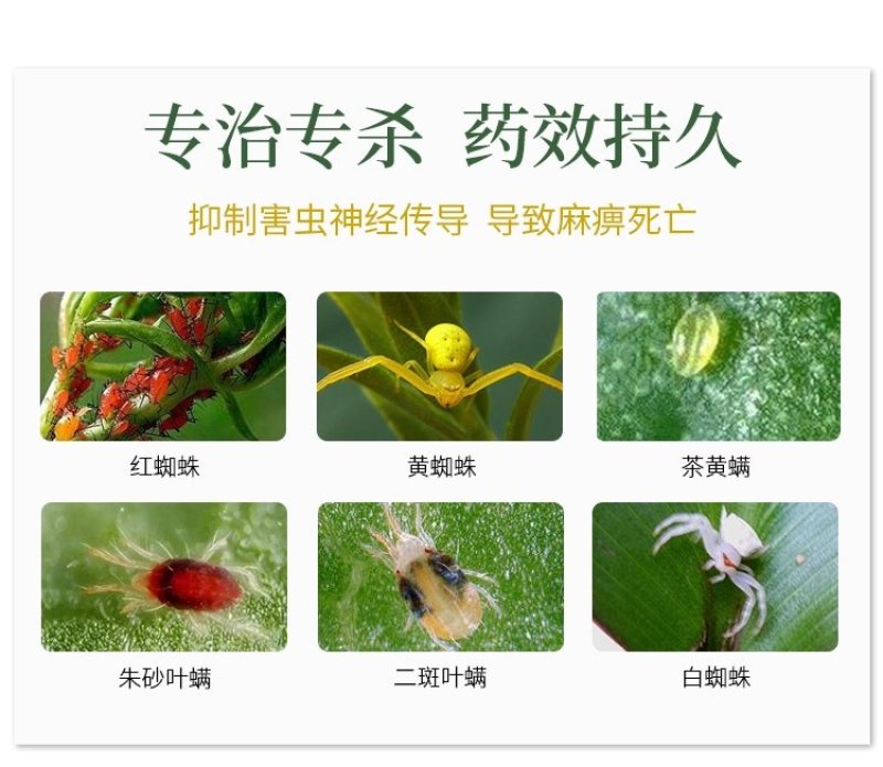 阿维乙螨唑杀螨剂中科红蜘蛛黄蜘蛛柑橘月季蔬菜200克