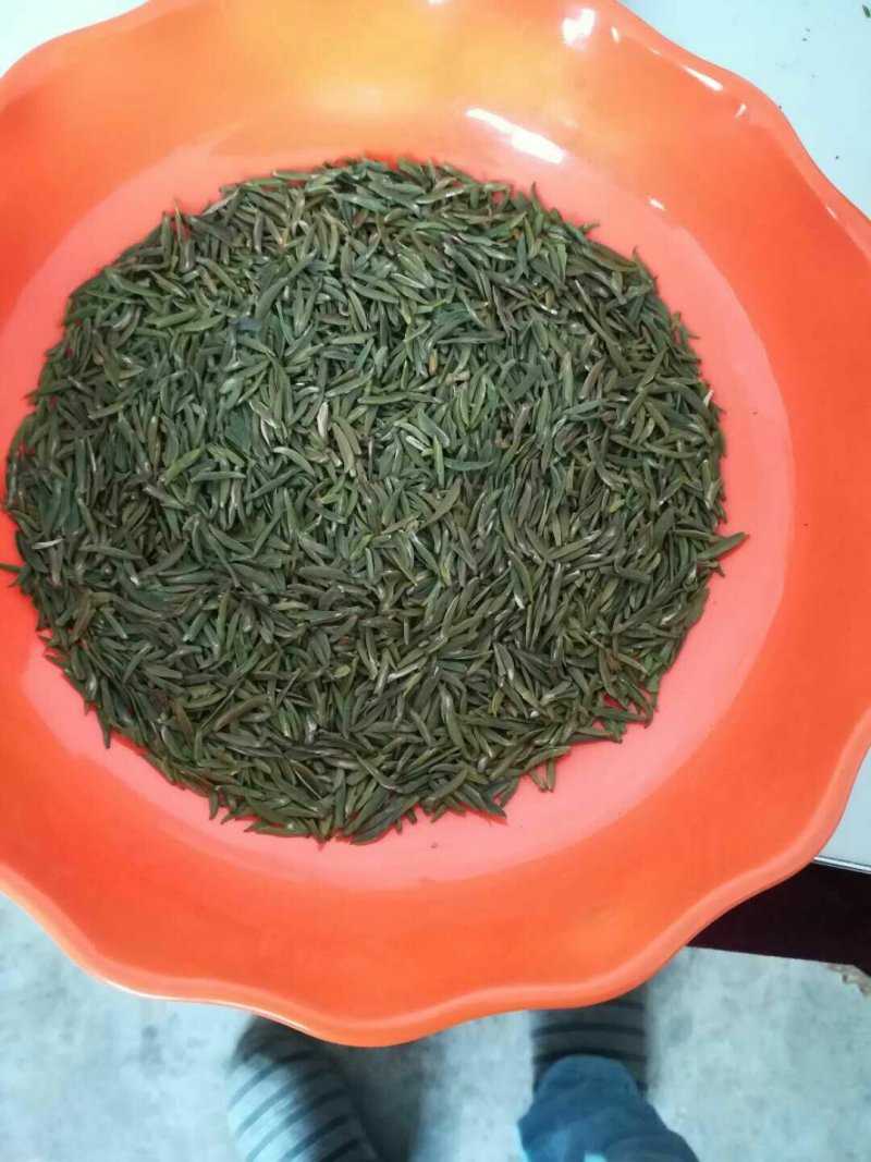 茶叶