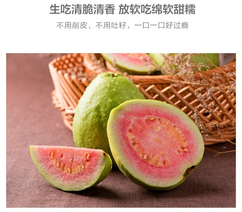 台湾番石榴苗，西瓜芭乐，台湾四季芭乐。