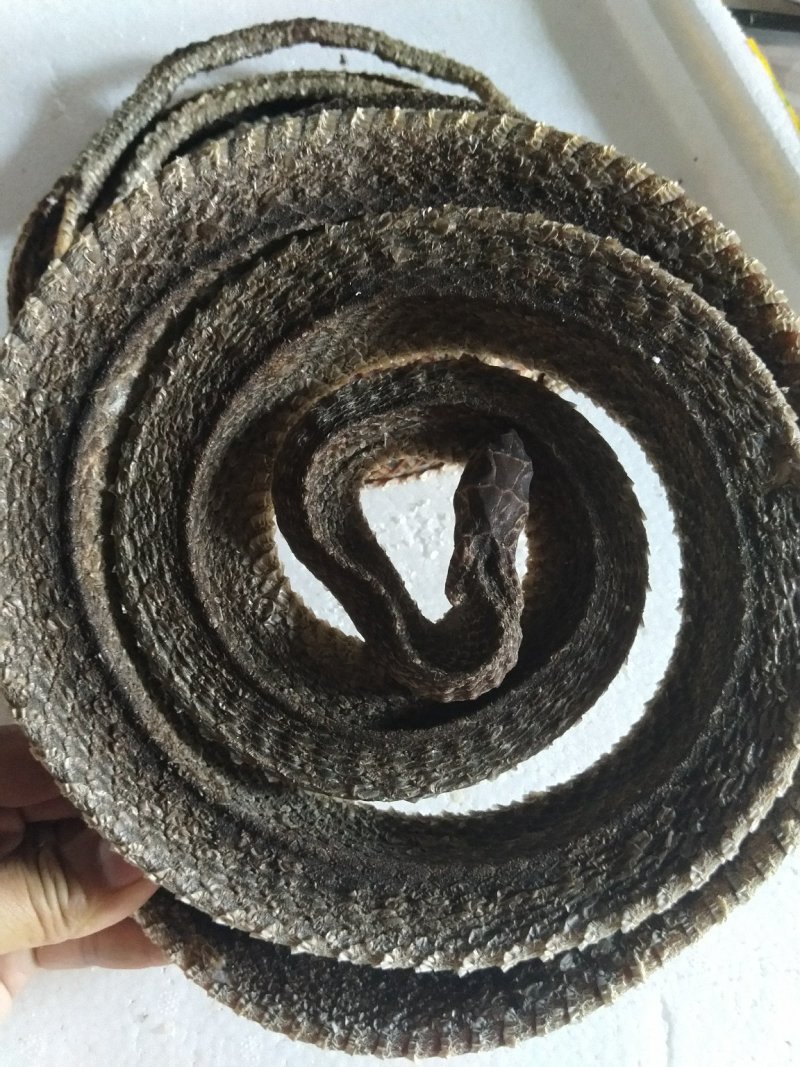 优质中药材，蛇干，乌蛇干
