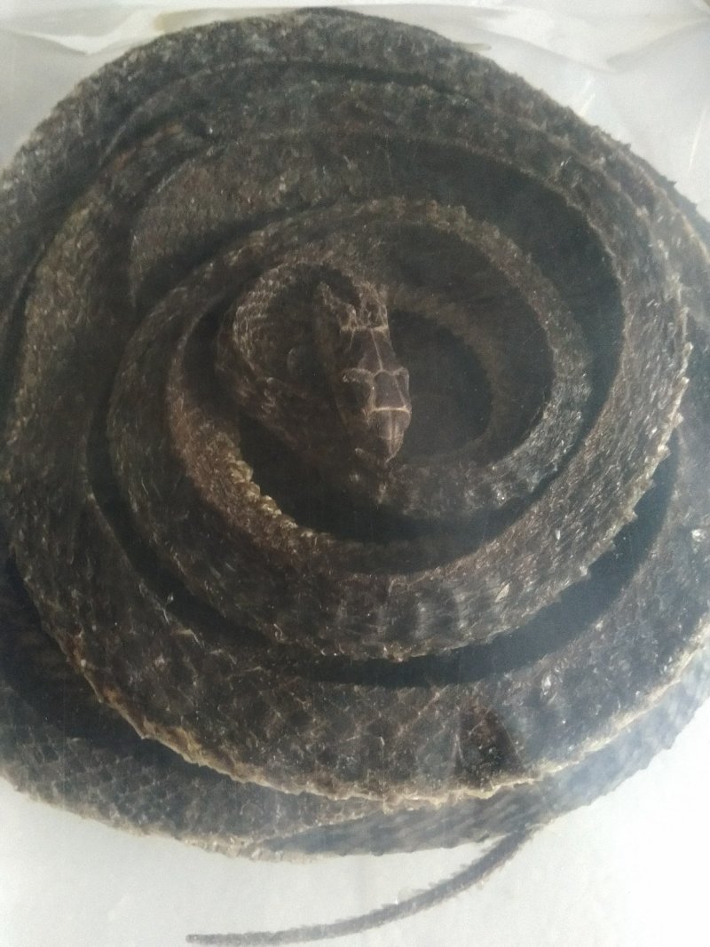 优质中药材，蛇干，乌蛇干