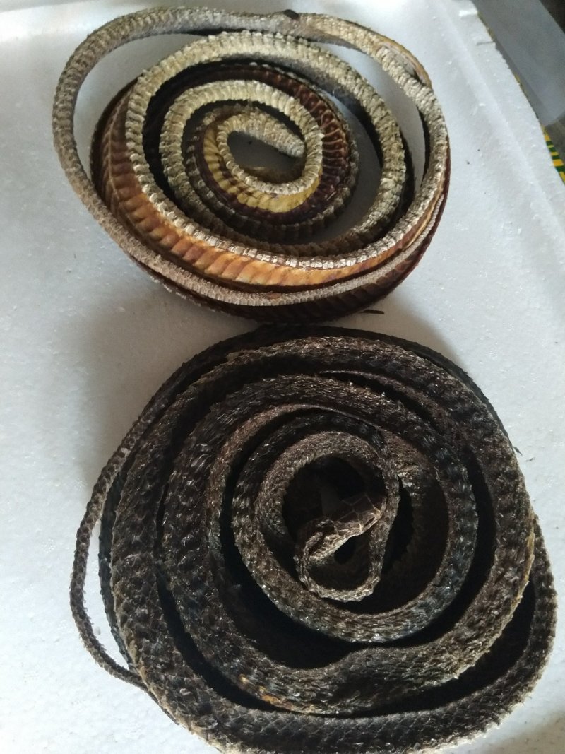 优质中药材，蛇干，乌蛇干