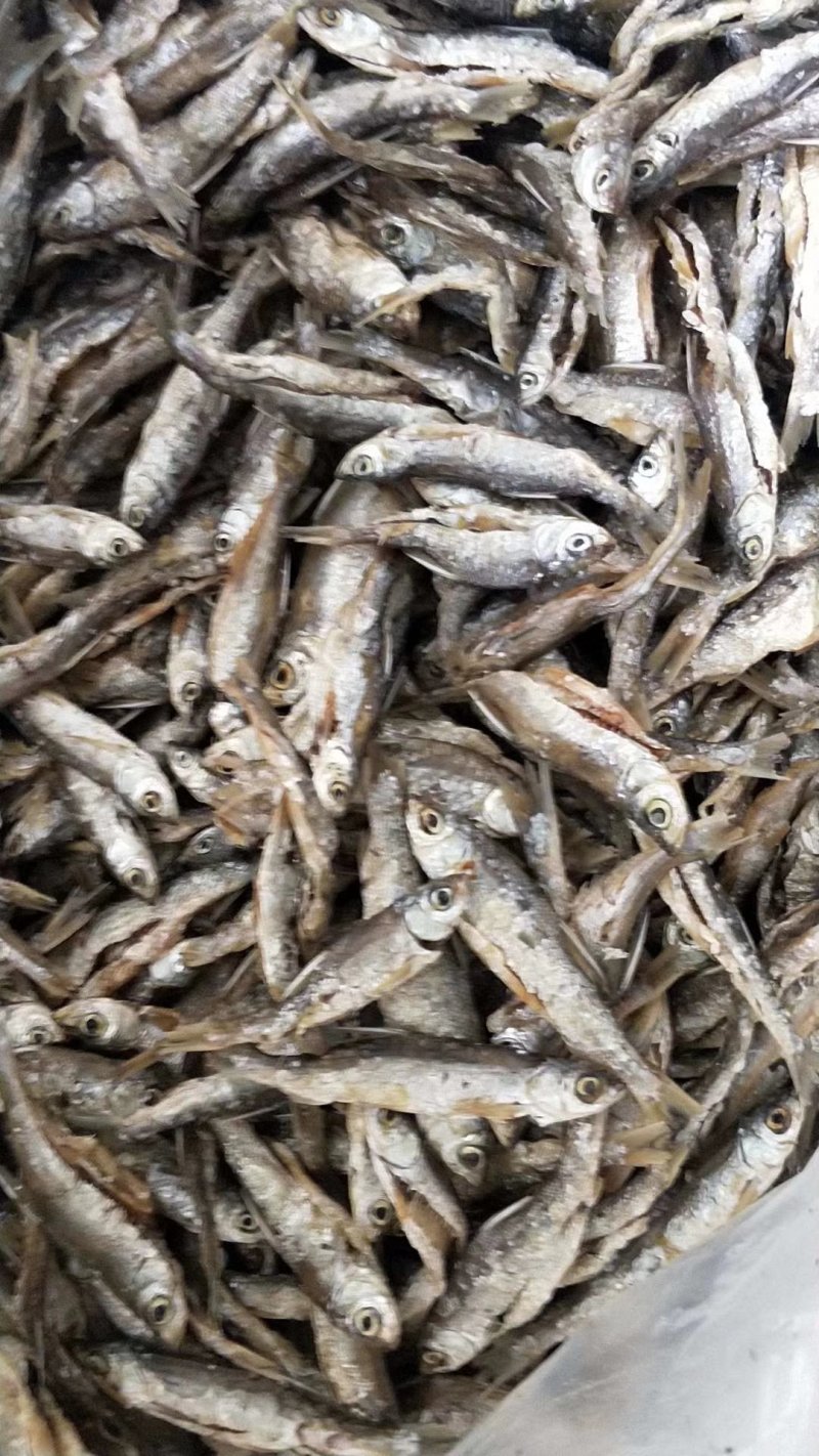 鱼干