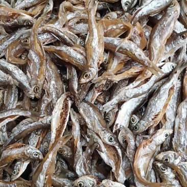 鱼干