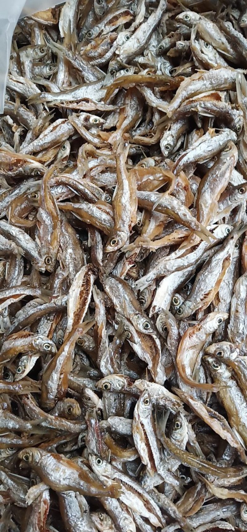 鱼干