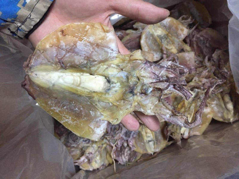 墨鱼干，干货特级500g克1-50个半淡晒小中大号散装