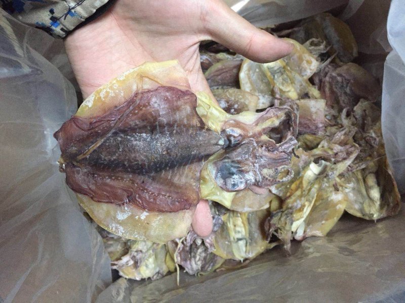 墨鱼干，干货特级500g克1-50个半淡晒小中大号散装