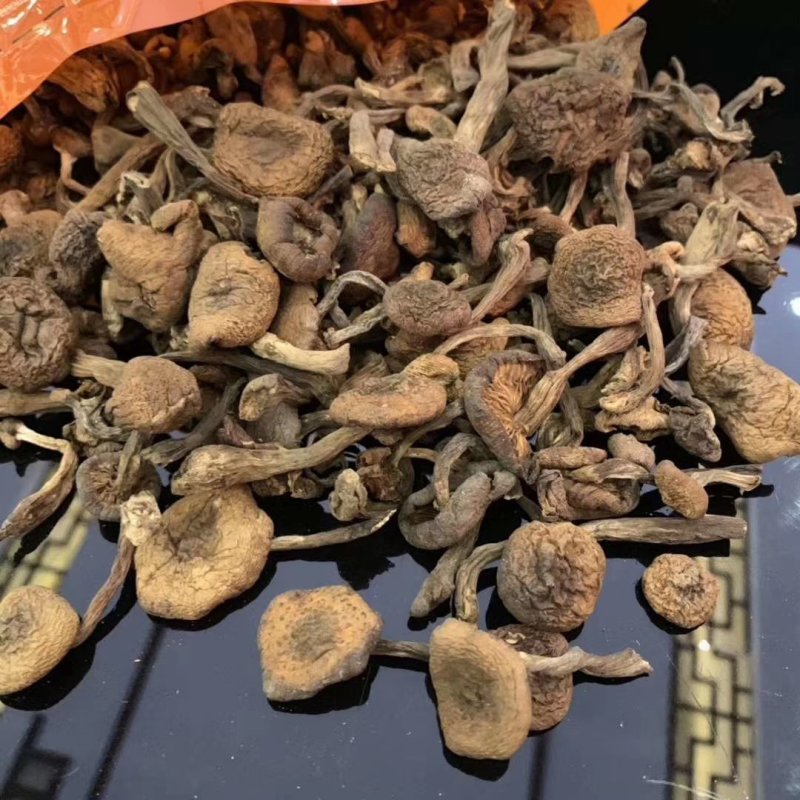 【参之源】新货长白山榛蘑好吃，炖鸡，营养高，更美味