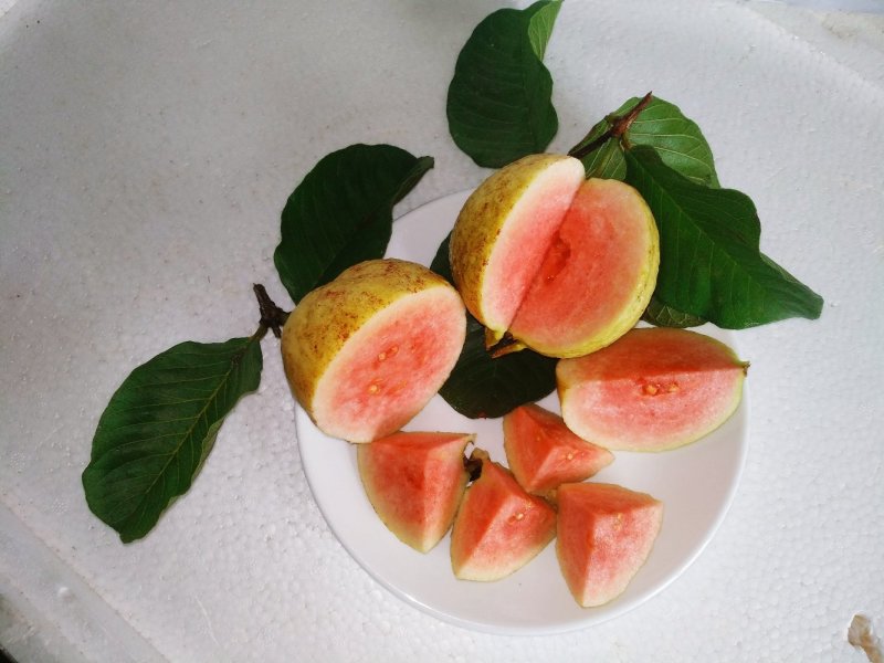 聚便宜试食商品无籽少核红宝石芭乐番石榴