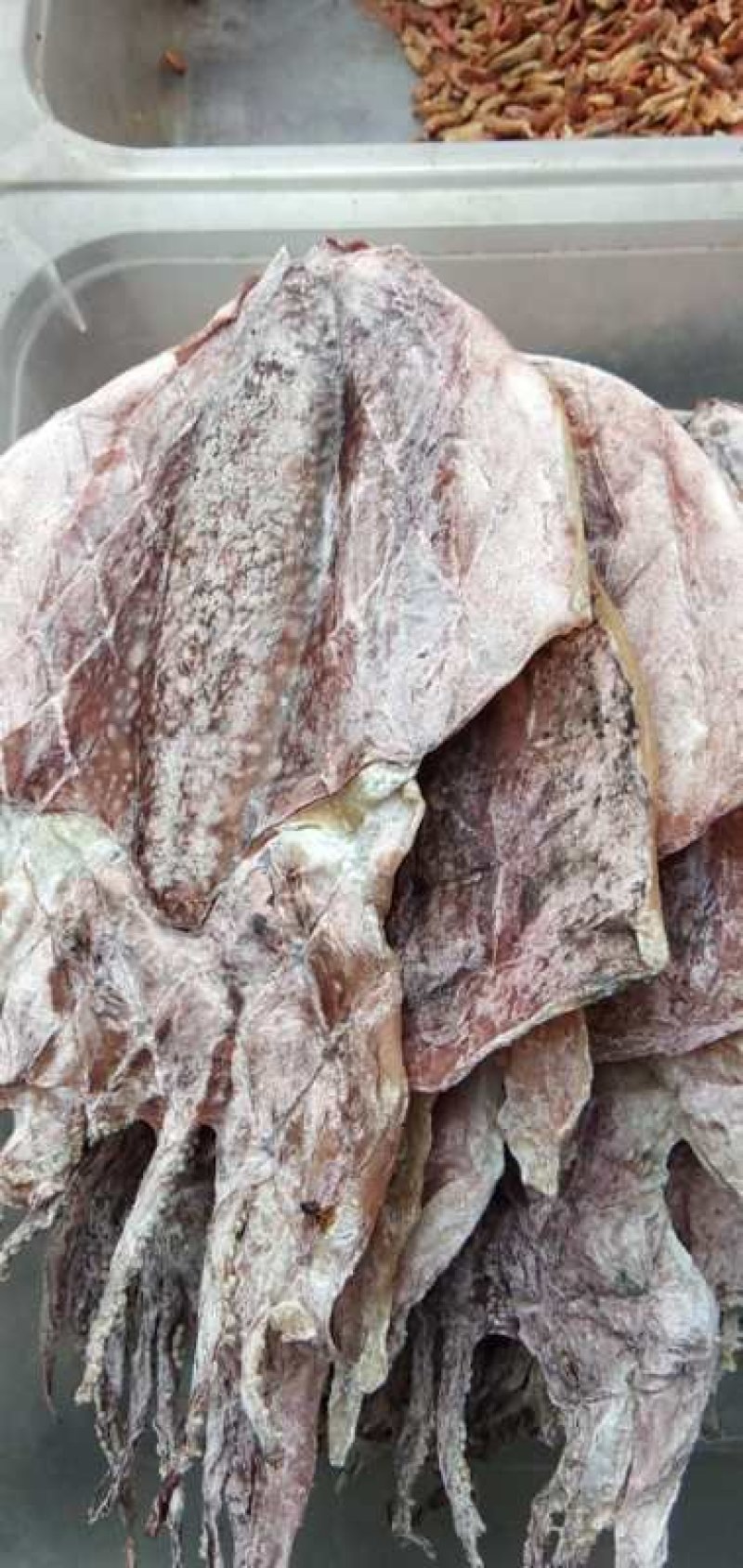 墨鱼干，干货特级500g克1-50个半淡晒小中大号散装