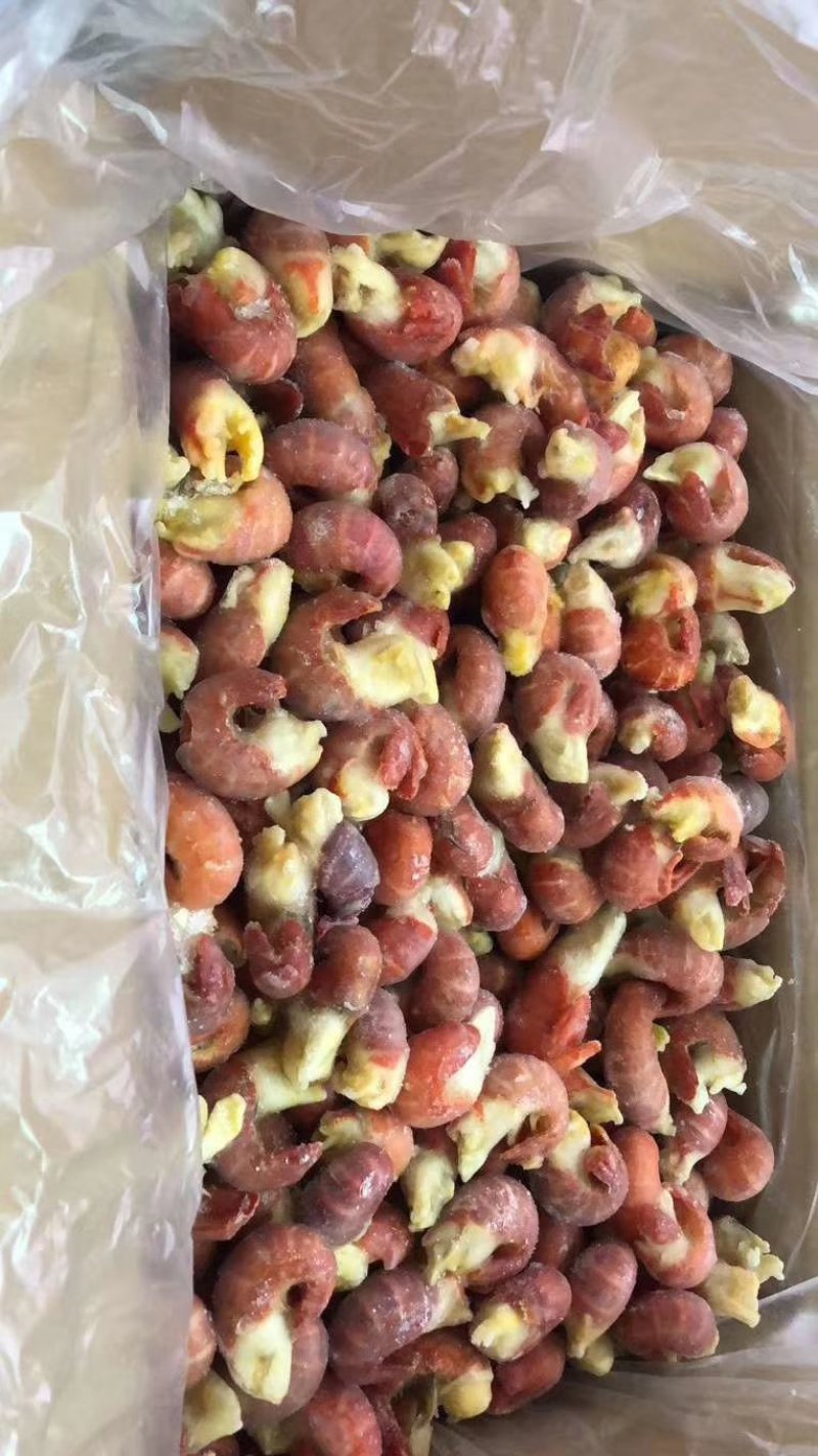特级龙虾尾白菜价一手货源