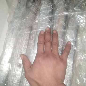 带鱼带鱼特价带鱼特价出一批带鱼