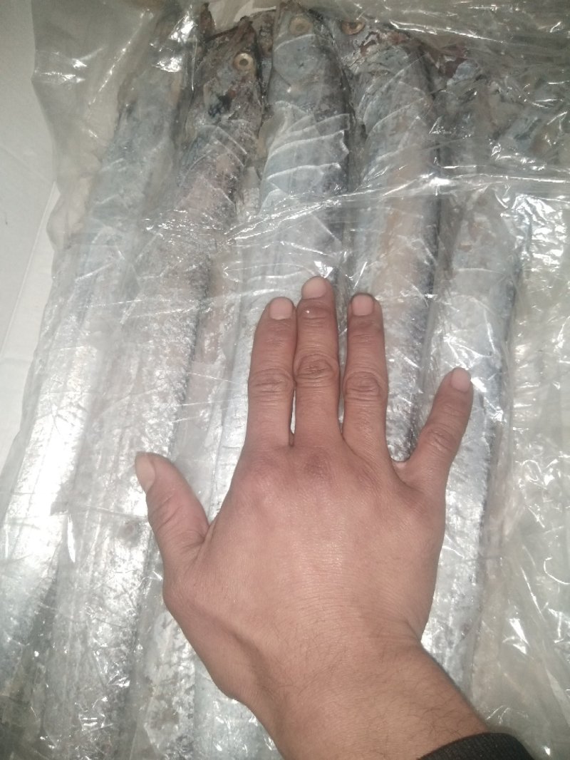 带鱼带鱼特价带鱼特价出一批带鱼