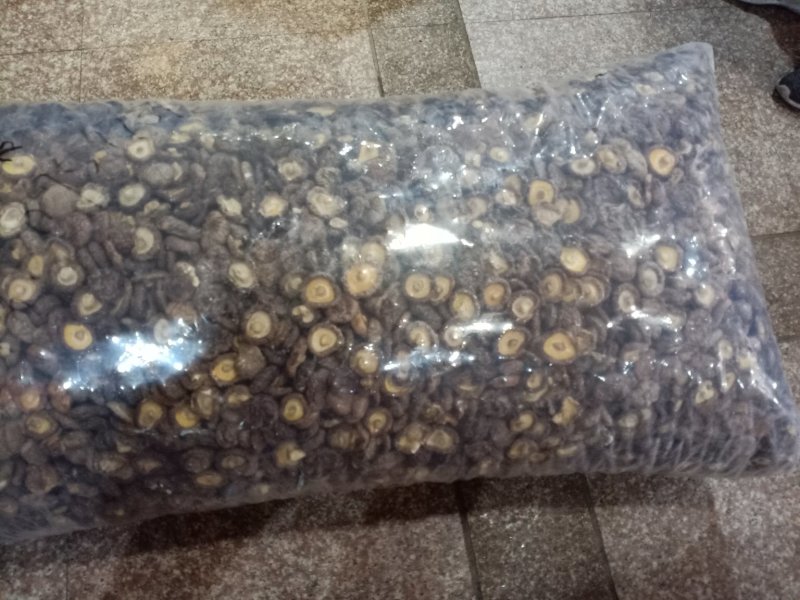 香菇，冬菇，古田香菇