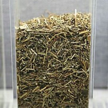 香薷，常年批发香薷，香薷草中药材江西货