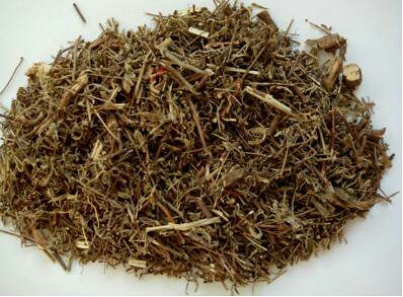 香薷，常年批发香薷，香薷草中药材江西货