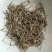 香薷，常年批发香薷，香薷草中药材江西货