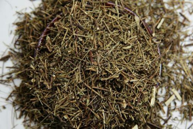 香薷，常年批发香薷，香薷草中药材江西货