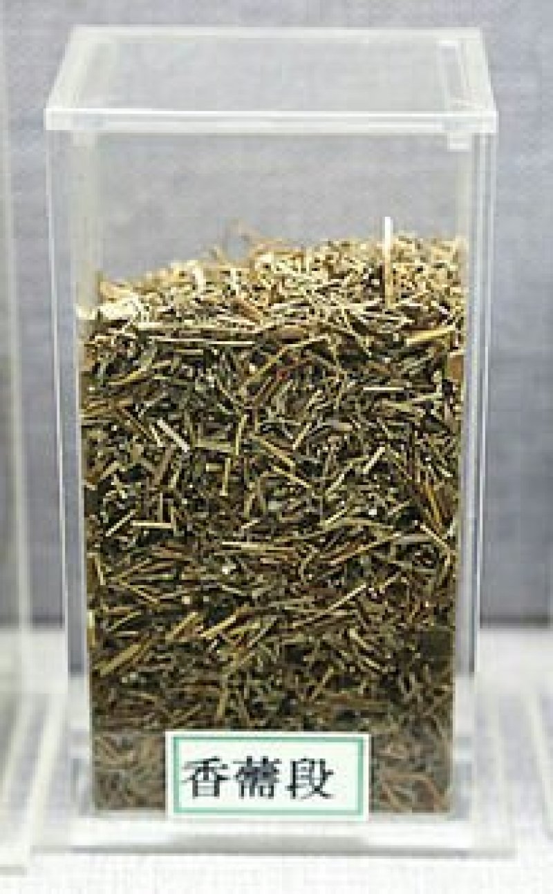 香薷，常年批发香薷，香薷草中药材江西货