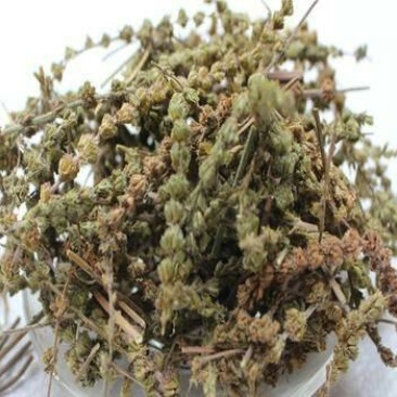 荆芥，常年批发中药材荆芥，各种规格
