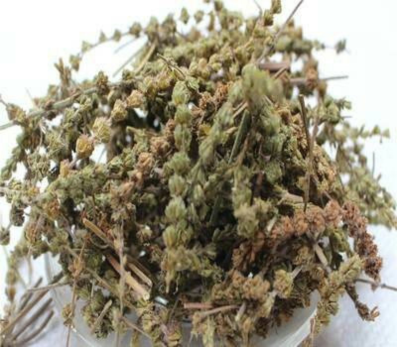 荆芥，常年批发中药材荆芥，各种规格