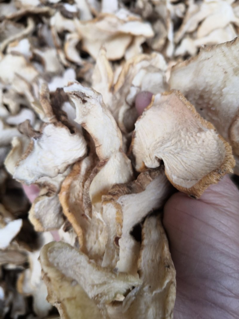 黄精片云南普洱地区货可视频
