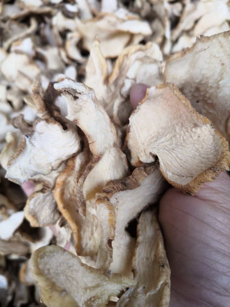 黄精片云南普洱地区货可视频