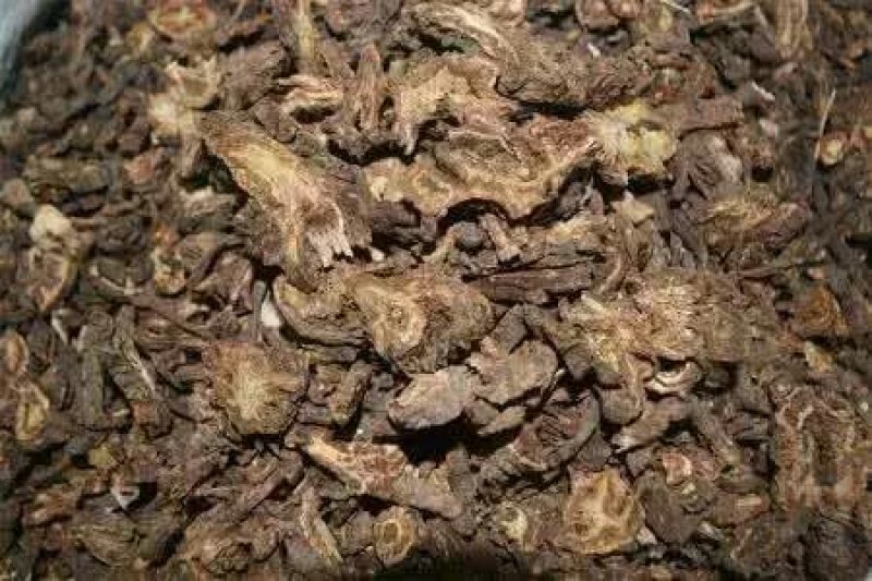 羌活，常年批发各种规格，各种产地甘肃货，四川羌活