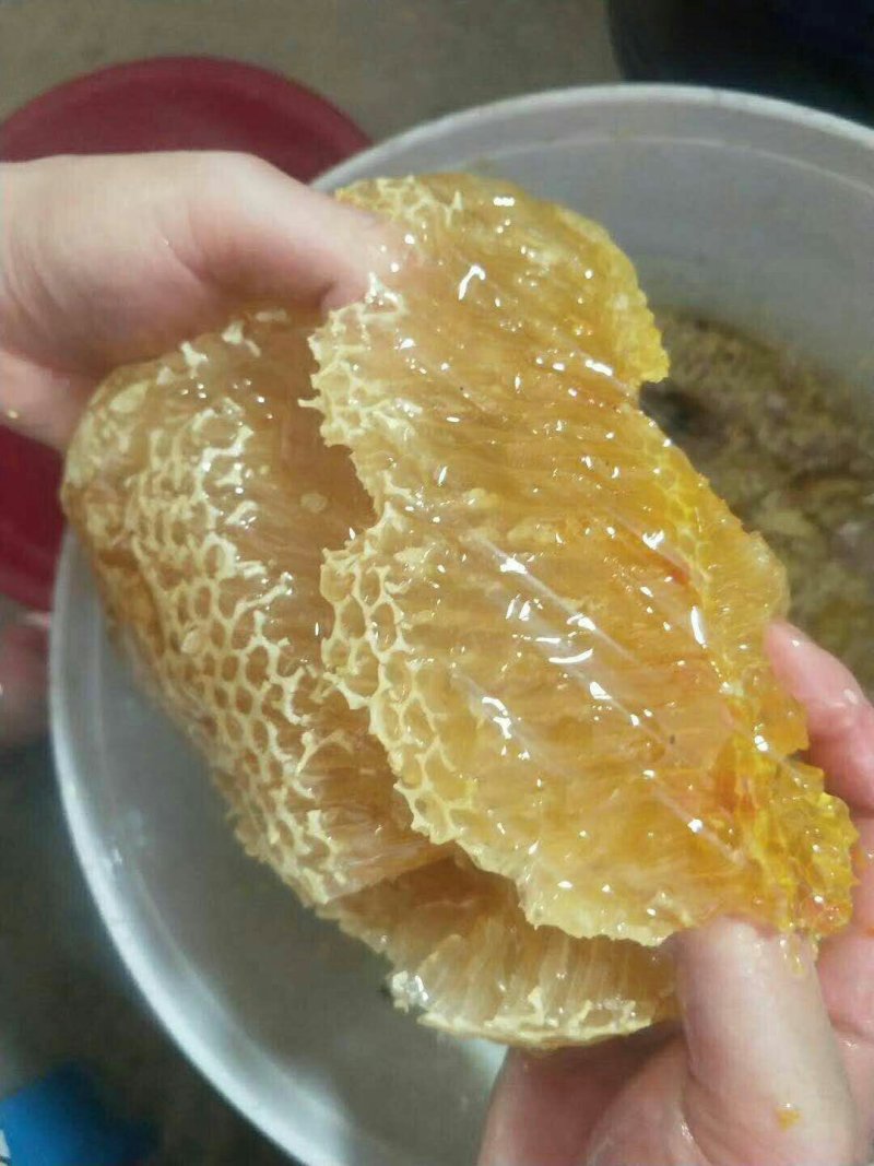 2020老挝野生小草蜂蜜新上市