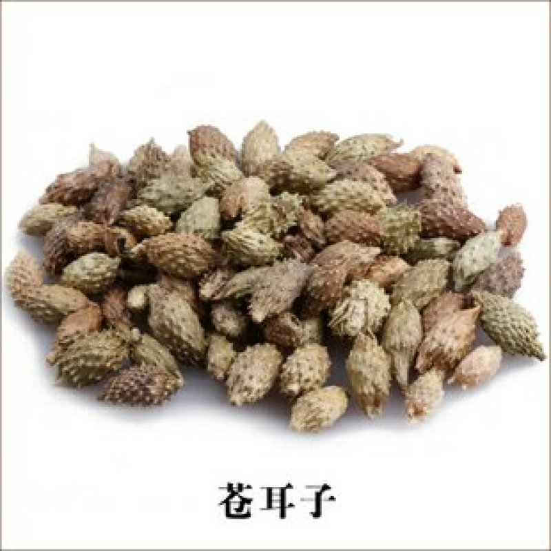 苍耳子，常年批发中药材苍耳子
