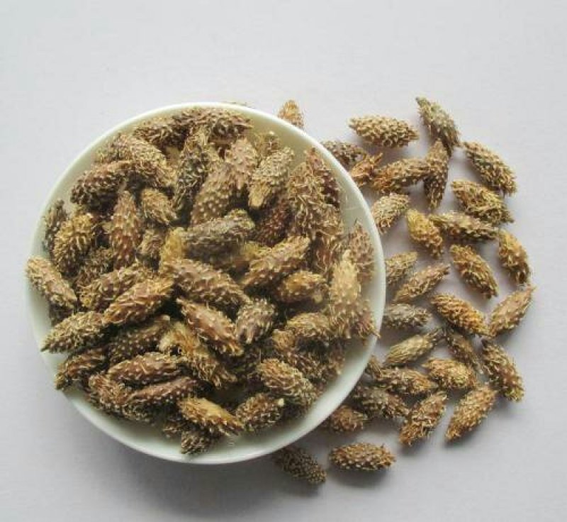 苍耳子，常年批发中药材苍耳子