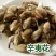 辛夷花，中药材辛，夷花药食两用，材料