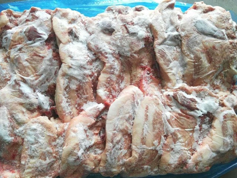 国产肥猪无毛无淋巴肥猪去皮槽头肉，母猪无毛去皮槽头