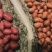 2020年11月新货苏丹小白沙用过都说好榨油磨酱食用均好