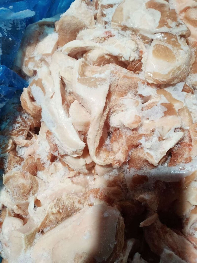 国产进口比例型肥猪碎肉，饺子，包子，香肠原料