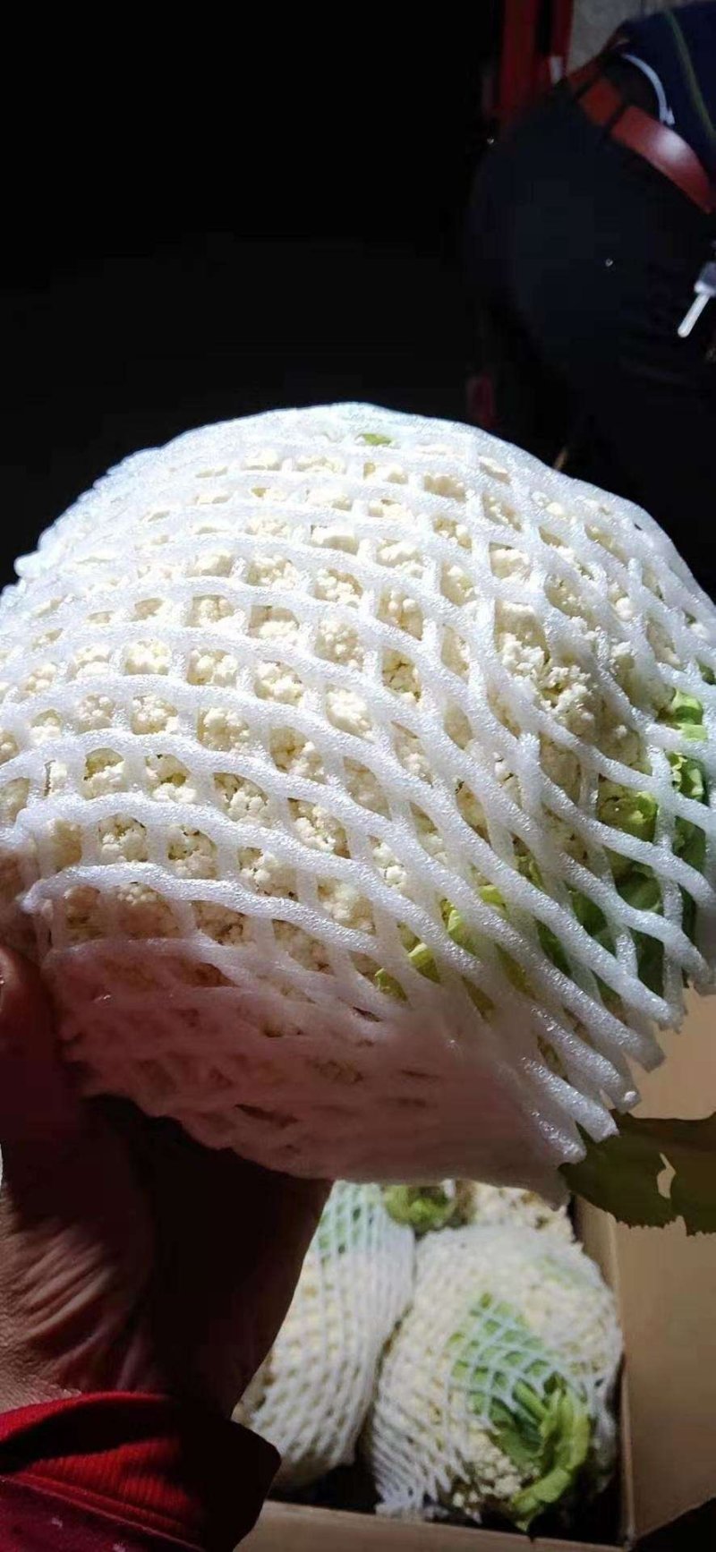 大量菜花上市，小米散花，80.85需要的老板联系