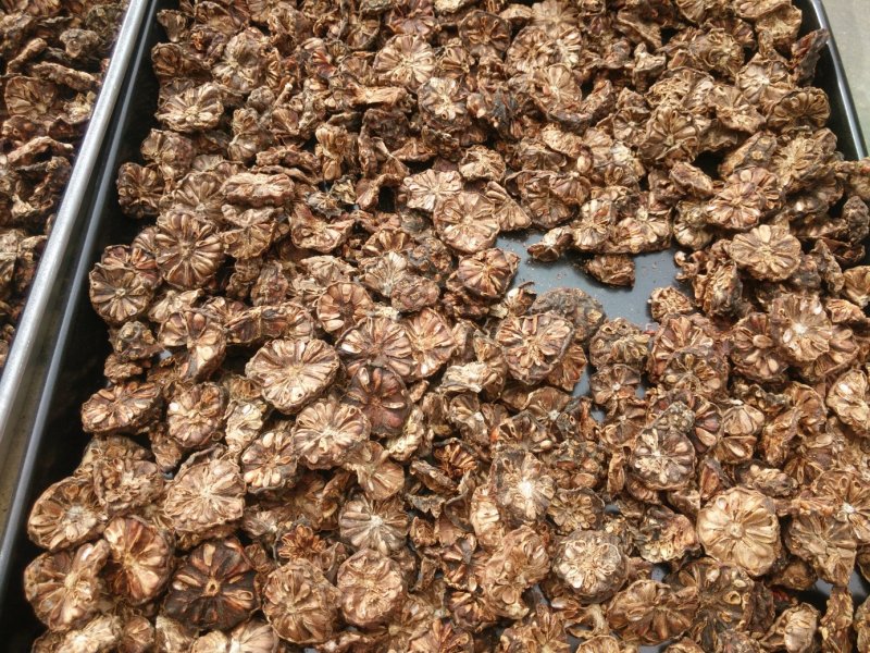 诺丽干果片诺丽果新鲜切片晒干风干提香